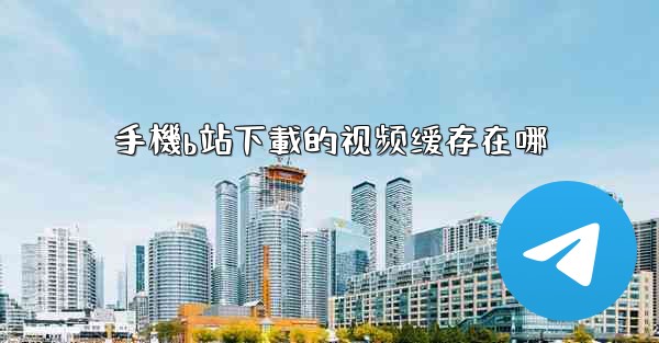 手機b站下載的视频缓存在哪