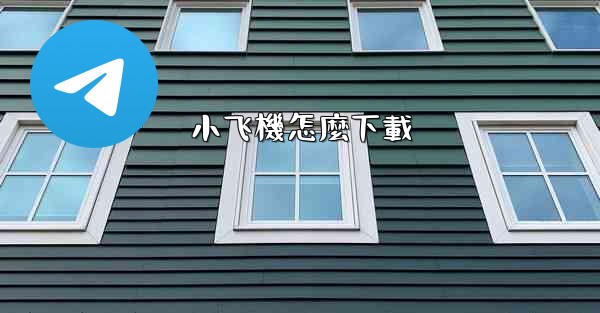 <b>小飞機怎麼下載</b>