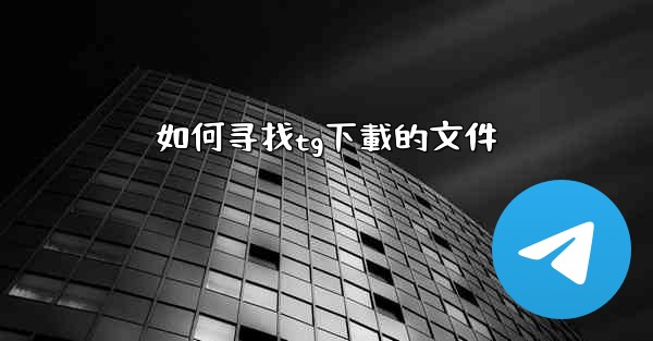 如何寻找tg下載的文件