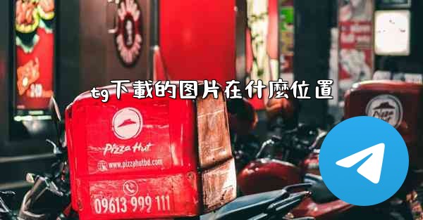 tg下載的图片在什麼位置
