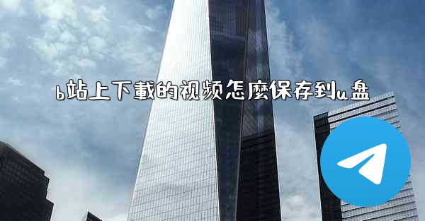 b站上下載的视频怎麼保存到u盘