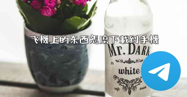 <b>飞機上的东西怎麼下載到手機</b>