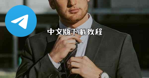 中文版下載教程