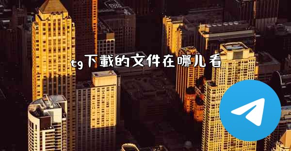 tg下載的文件在哪儿看