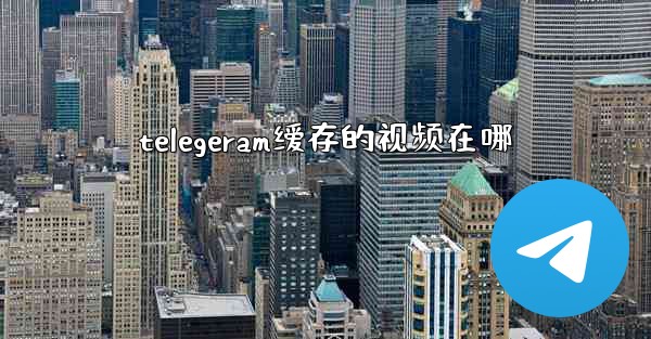 telegeram缓存的视频在哪