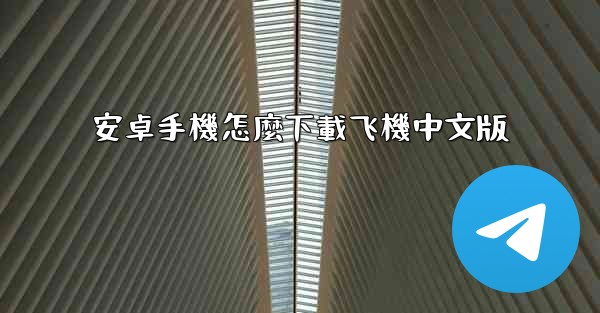 安卓手機怎麼下載飞機中文版