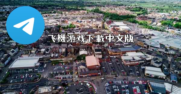 飞機游戏下載中文版