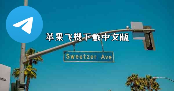 苹果飞機下載中文版