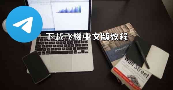 下載飞機中文版教程