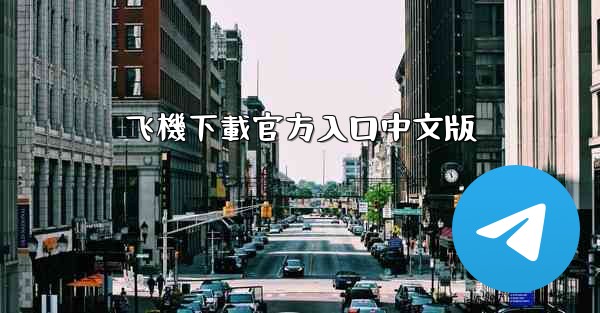 <b>飞機下載官方入口中文版</b>