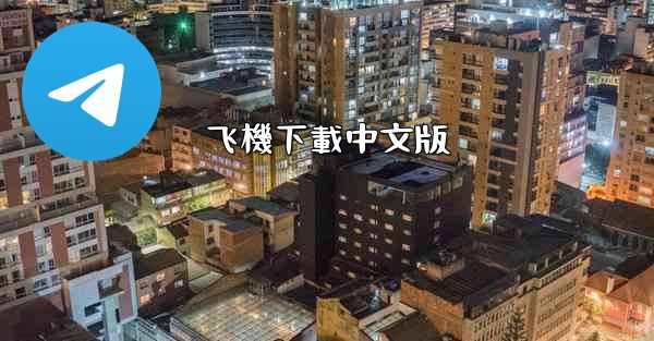 飞機下載中文版