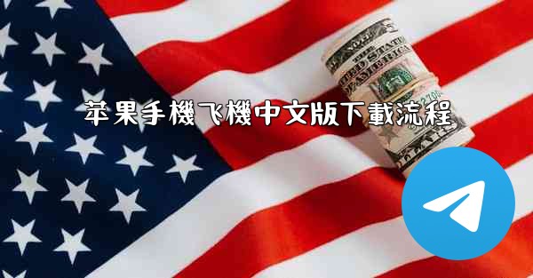 苹果手機飞機中文版下載流程