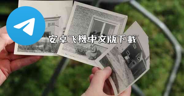 安卓飞機中文版下載