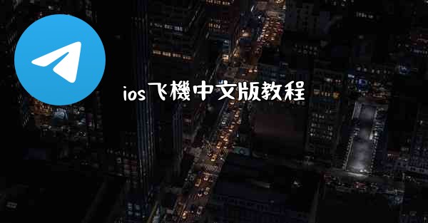 ios飞機中文版教程