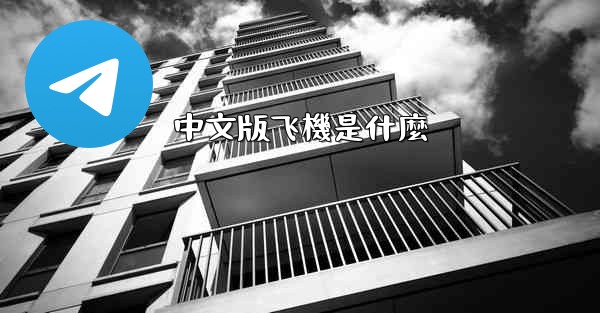 中文版飞機是什麼