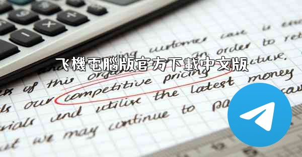 飞機電腦版官方下載中文版