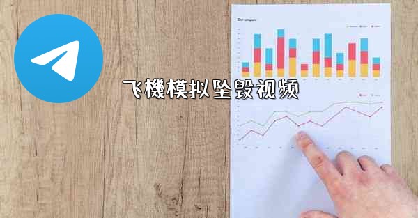 <b>飞機模拟坠毁视频</b>