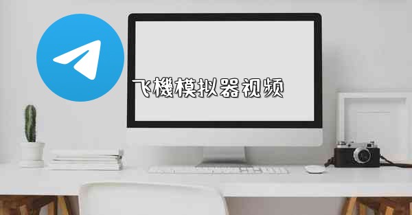 飞機模拟器视频