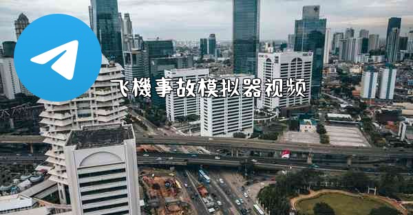 飞機事故模拟器视频