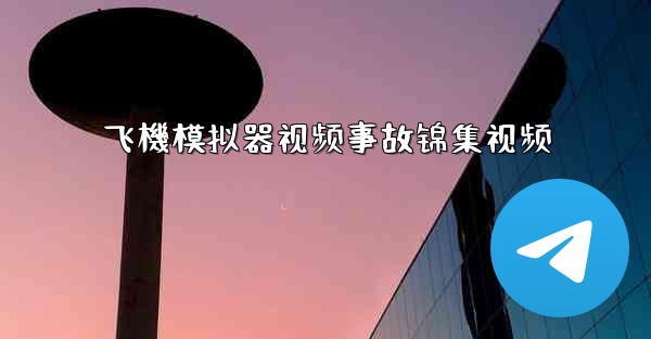 飞機模拟器视频事故锦集视频