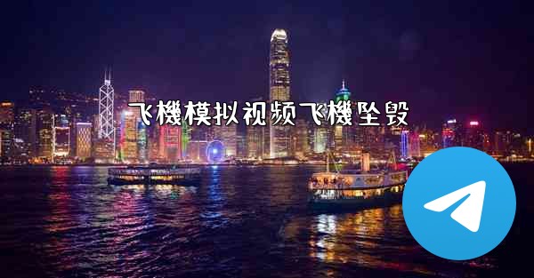 <b>飞機模拟视频飞機坠毁</b>
