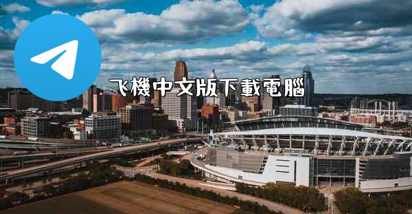 飞機中文版下載電腦