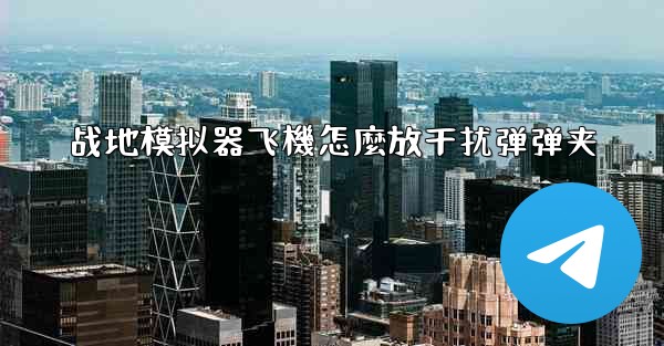 <b>战地模拟器飞機怎麼放干扰弹弹夹</b>