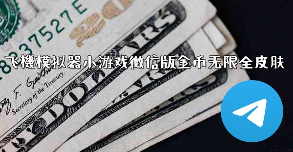 <b>飞機模拟器小游戏微信版金币无限全皮肤</b>