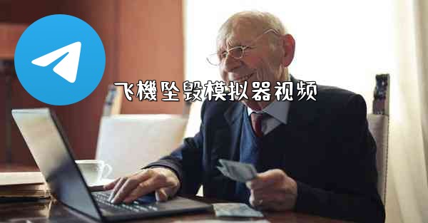 飞機坠毁模拟器视频