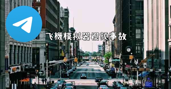 <b>飞機模拟器视频事故</b>