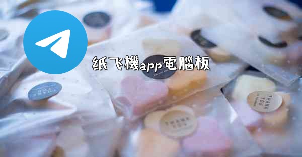 纸飞機app電腦板