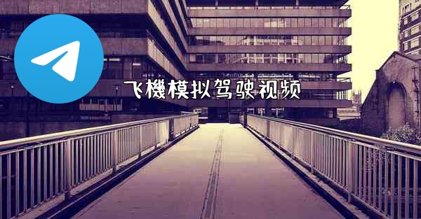 飞機模拟驾驶视频