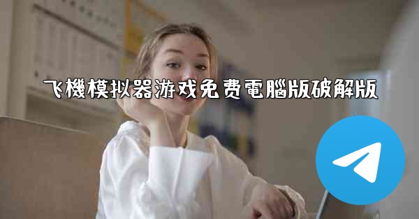 飞機模拟器游戏免费電腦版破解版