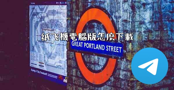 纸飞機電腦版怎麼下載