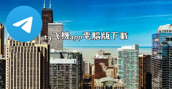 tg飞機app電腦版下載