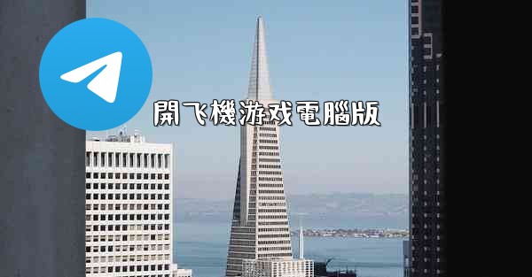 開飞機游戏電腦版