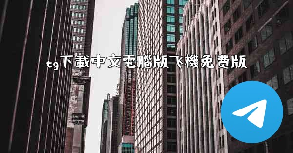tg下載中文電腦版飞機免费版