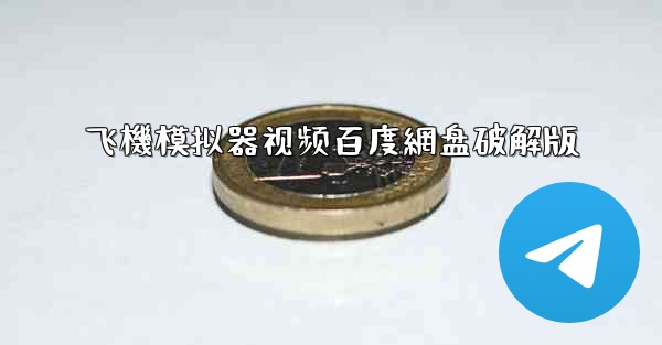 飞機模拟器视频百度網盘破解版