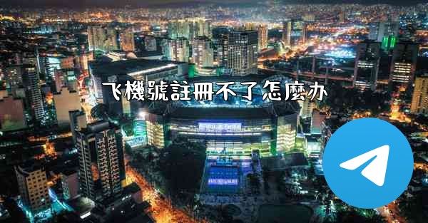 飞機號註冊不了怎麼办