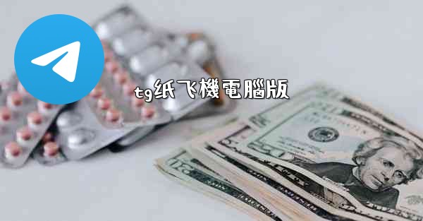 tg纸飞機電腦版