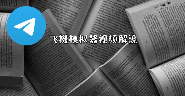 <b>飞機模拟器视频解說</b>