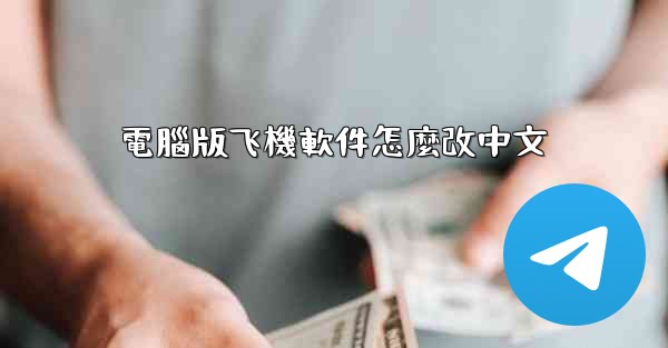 <b>電腦版飞機軟件怎麼改中文</b>