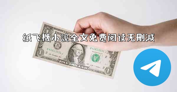 纸飞機小說全文免费阅读无刪減