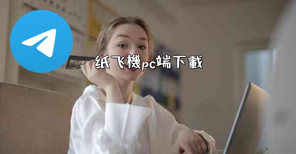 纸飞機pc端下載