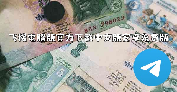 飞機電腦版官方下載中文版安卓免费版