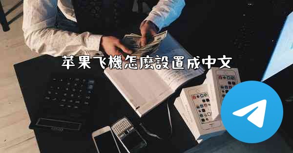 苹果飞機怎麼設置成中文