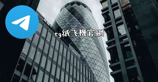 tg纸飞機官網