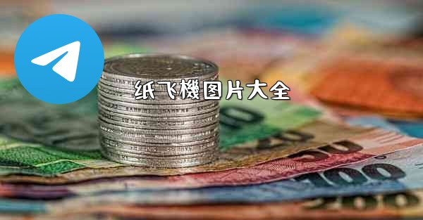 <b>纸飞機图片大全</b>