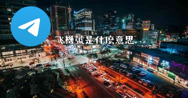 飞機號是什麼意思