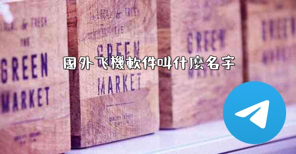 國外飞機軟件叫什麼名字